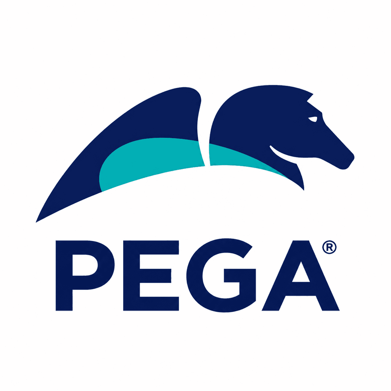 Pegasystems Worldwide India