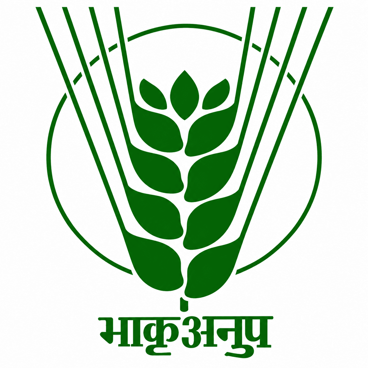 Indian Institute of Rice Research