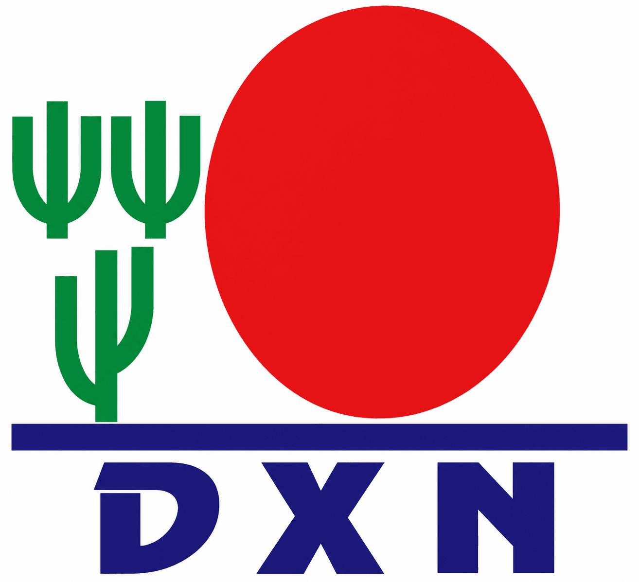 DXN Manufacturing (India) Private Limited