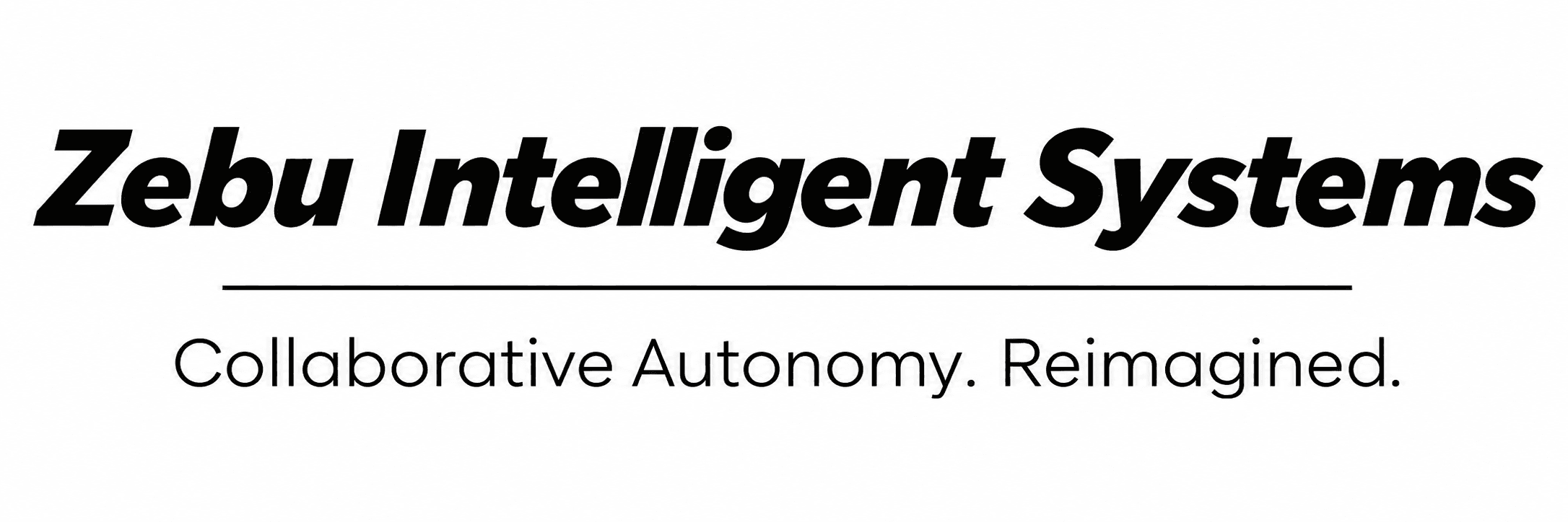 Zebu Intelligent Systems Private Limited